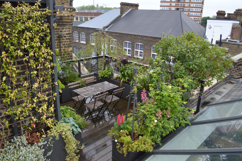This is an example of a small mediterranean rooftop and rooftop deck in Cambridgeshire with a vertical garden, a roof extension and metal railing.
