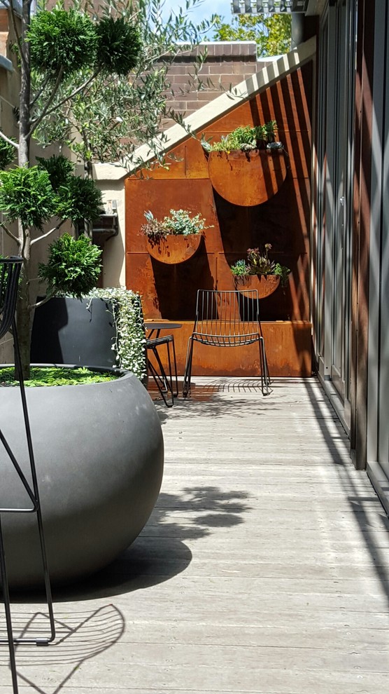 Photo of a small contemporary patio in Sydney.