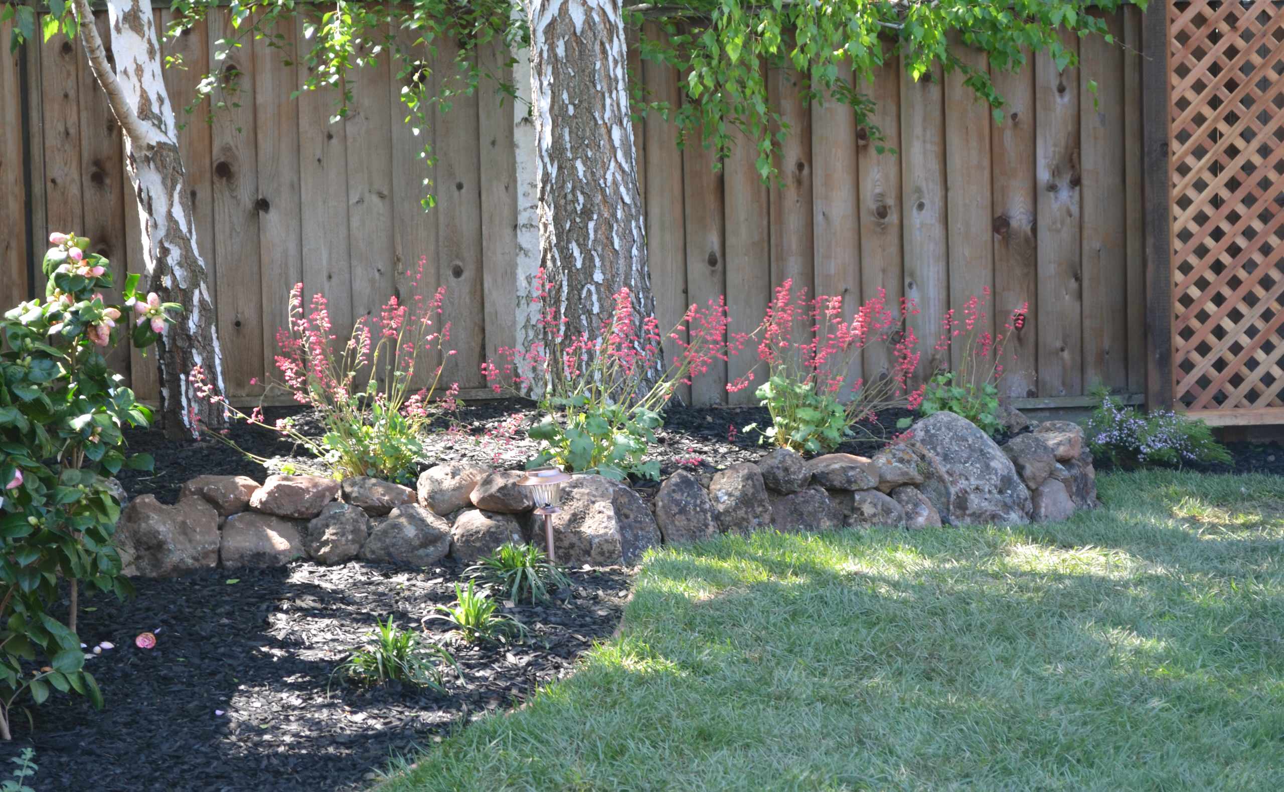 Backyard Spaces