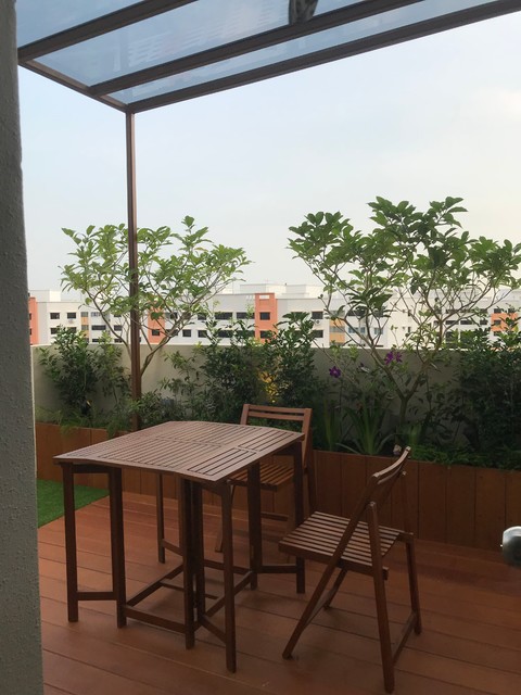 Roof terrace tropisk-have