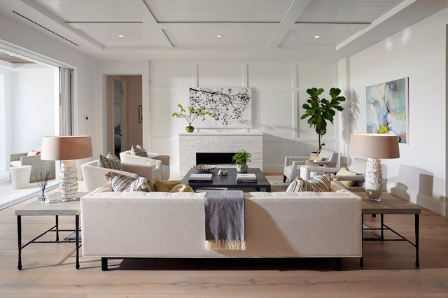 Transitional Living Room nyklassisk-dagligstue
