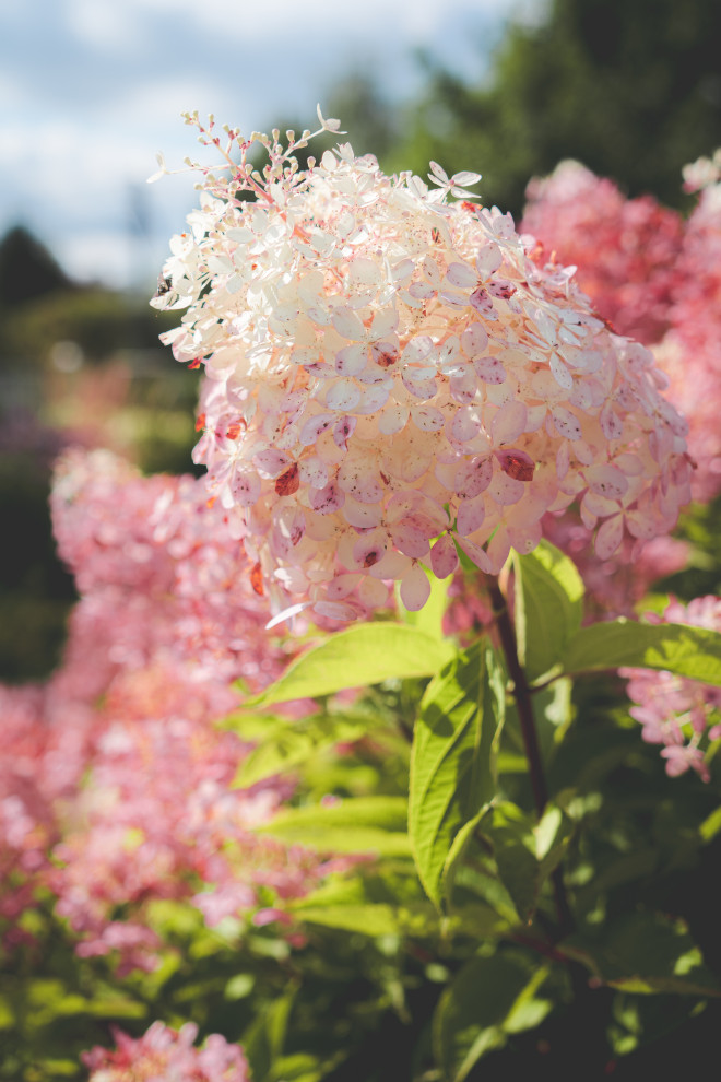 Дом в Оболдино