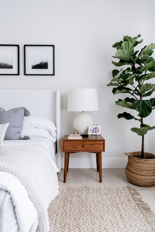 Bedroom - transitional bedroom idea in Las Vegas