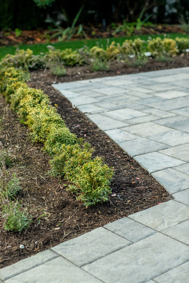 This is an example of a transitional landscaping in Vancouver.