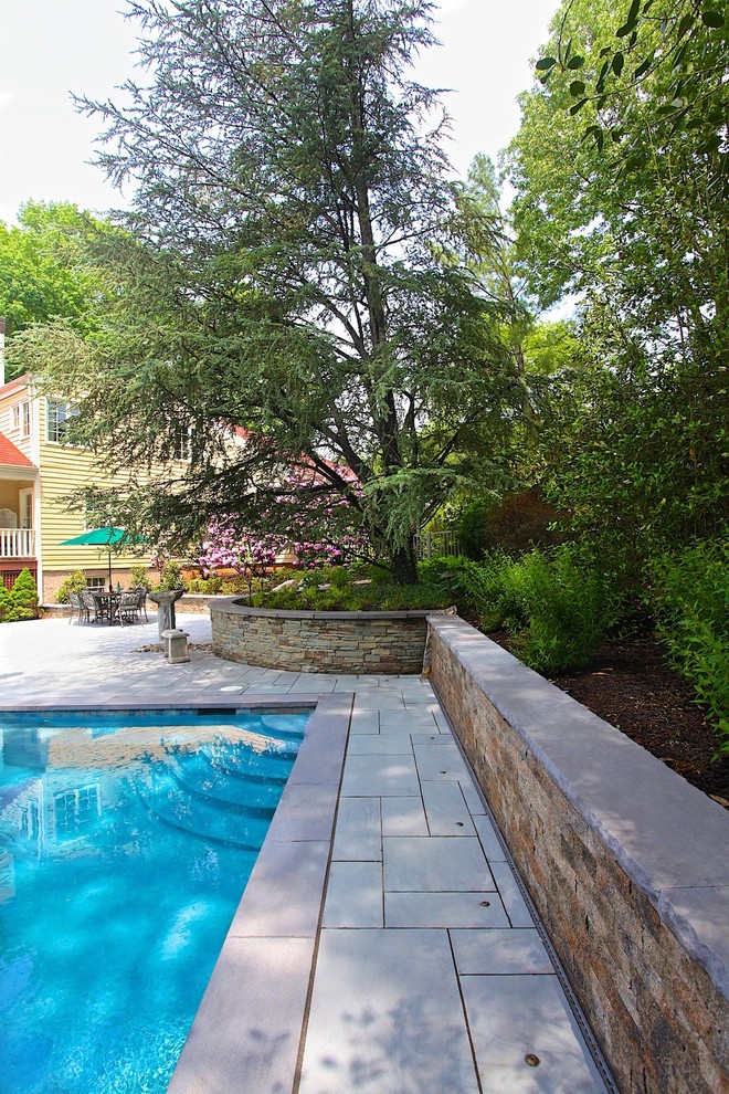 Pool - traditional pool idea in Philadelphia