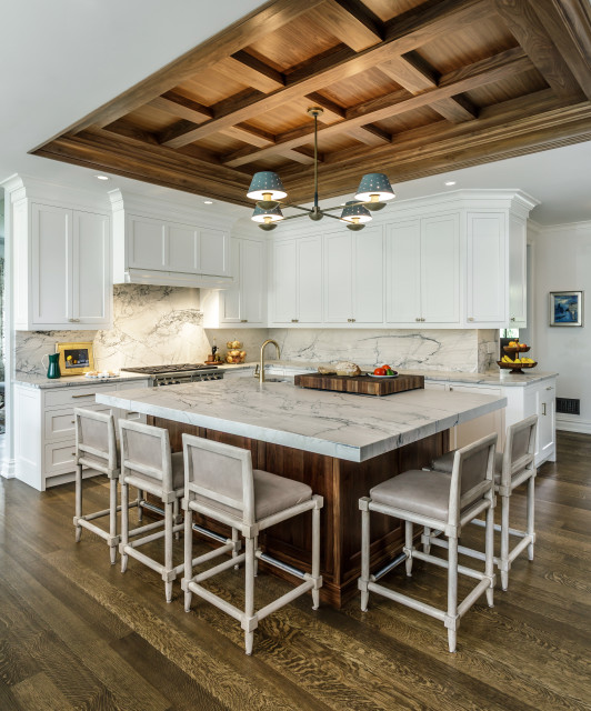 Rumson, NJ Kitchen transitional-kitchen