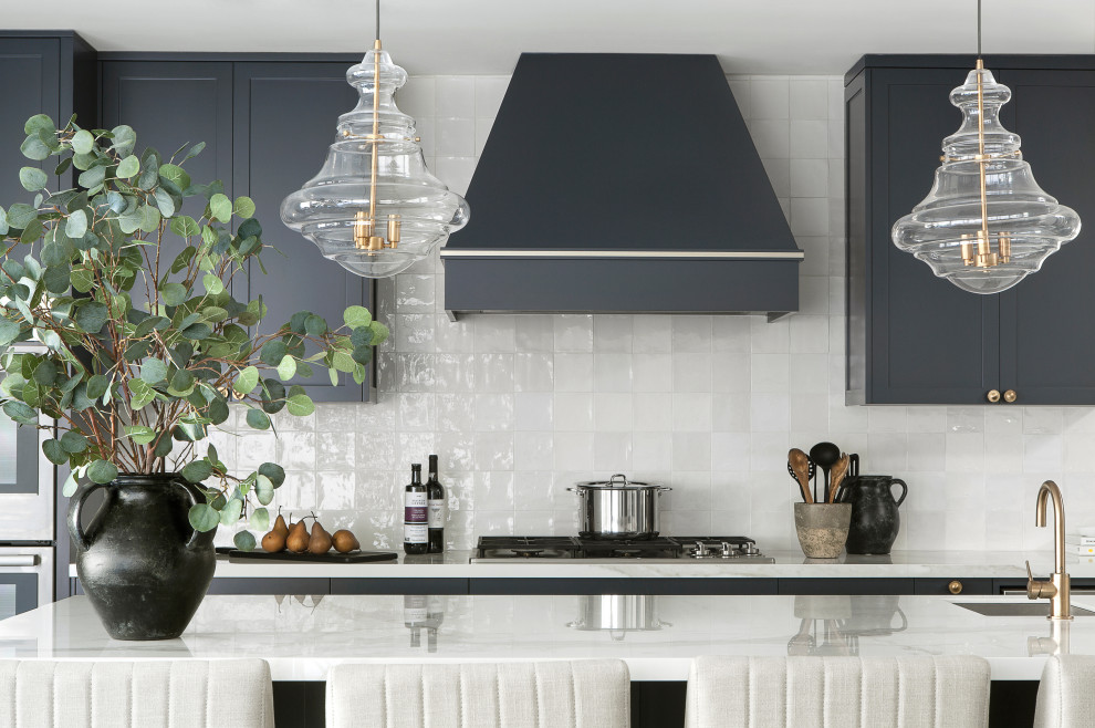 Kitchen - transitional kitchen idea in New York