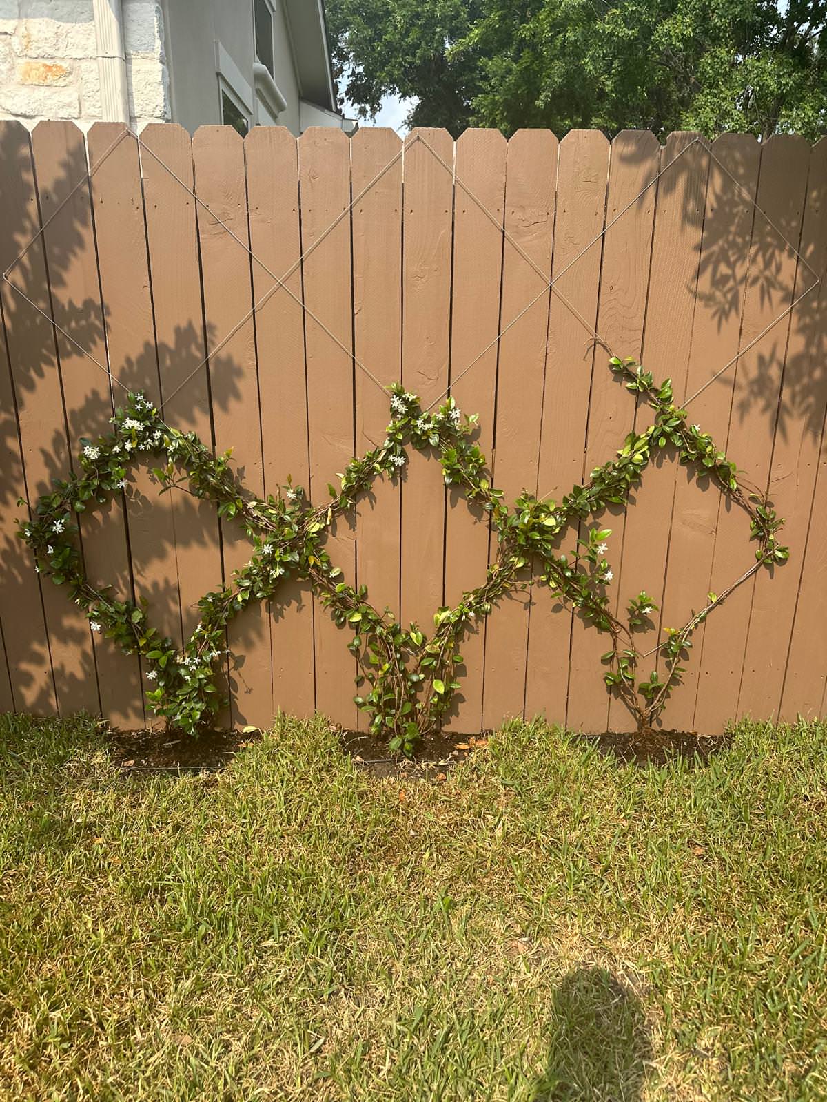 Front and Back yard makeover in Del Monte HTX