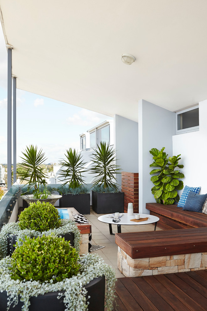 This is an example of a contemporary balcony in Sydney with a container garden.