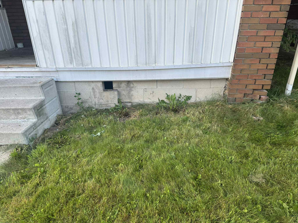 Deck Remediation