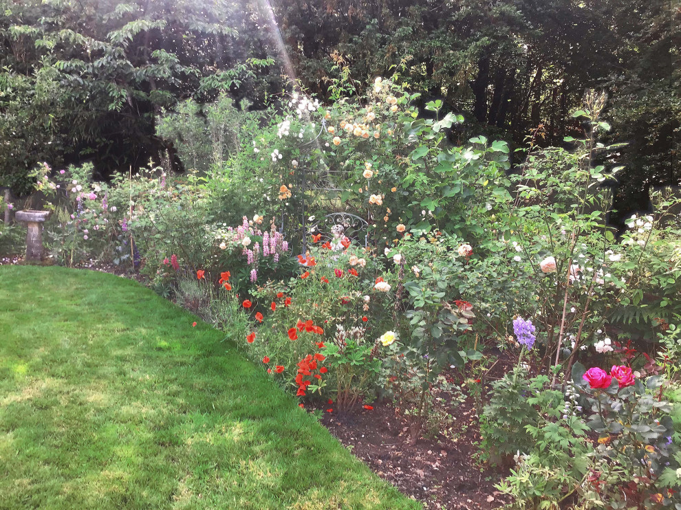 Woodland Edge Border, Surrey