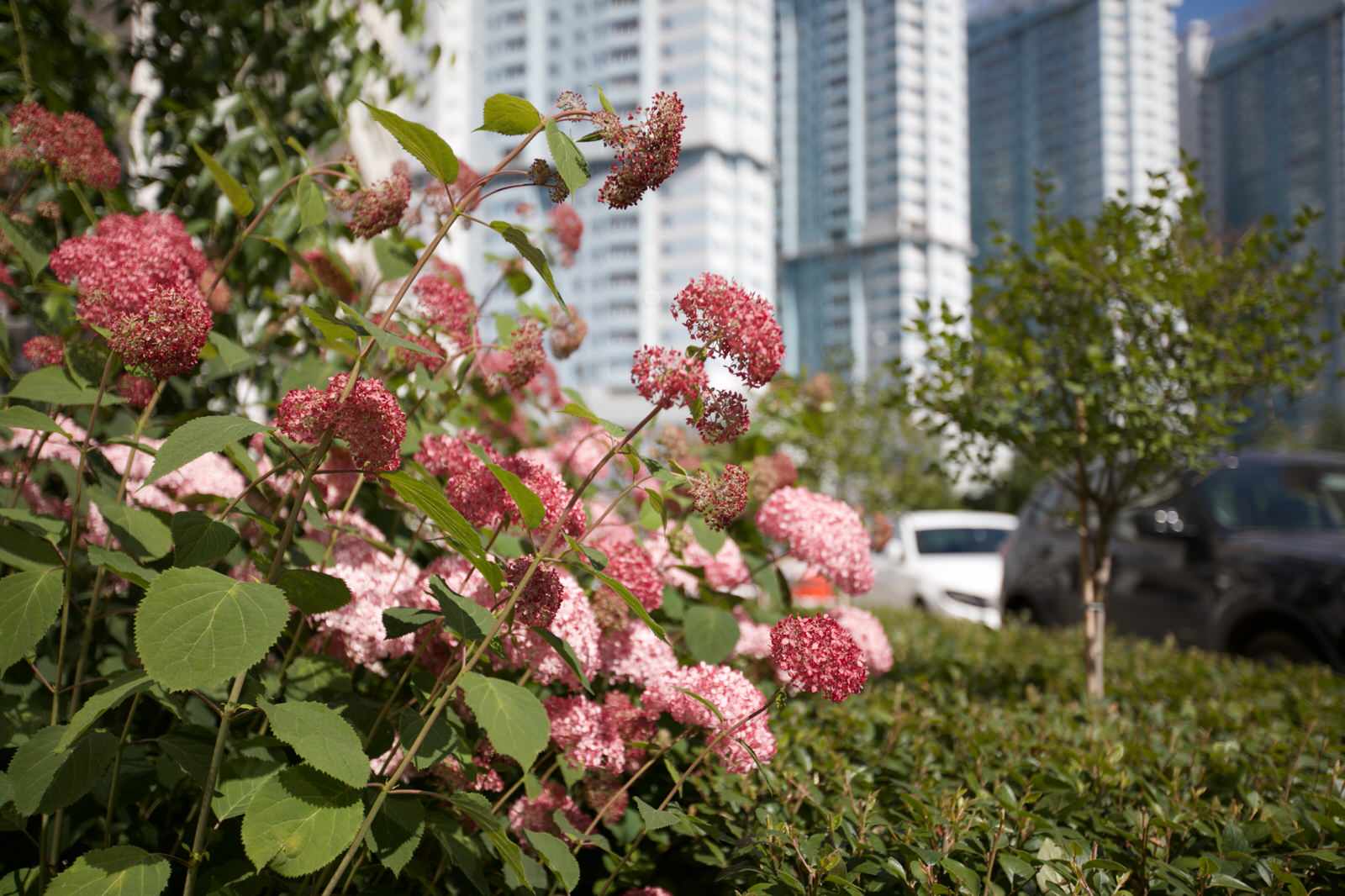 Оформление входа в подъезд многоквартирного дома на Ходынке ЖК "Гранд парк"