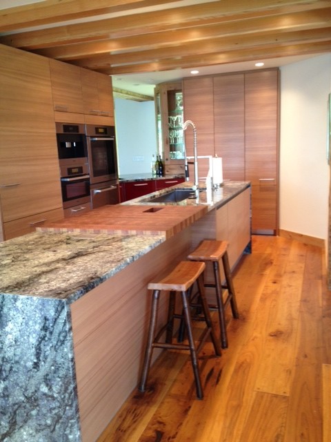Abelson contemporary-kitchen