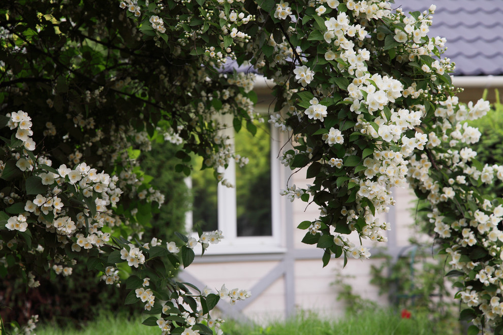 Ландшафтный дизайн