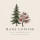 Rare Conifer Japan