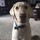 trevor_lake42