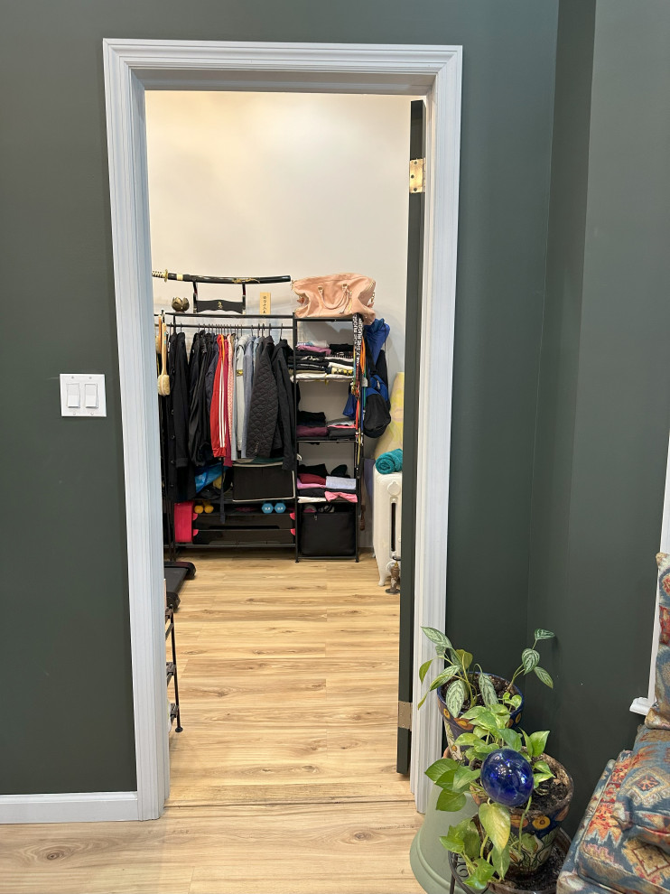 Primary Bedroom and Walk-in Closet Renovation