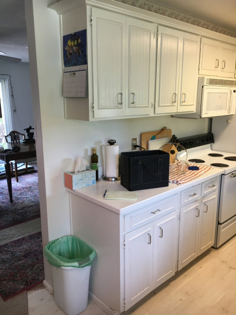 Contemporary Kitchen Refresh transitional