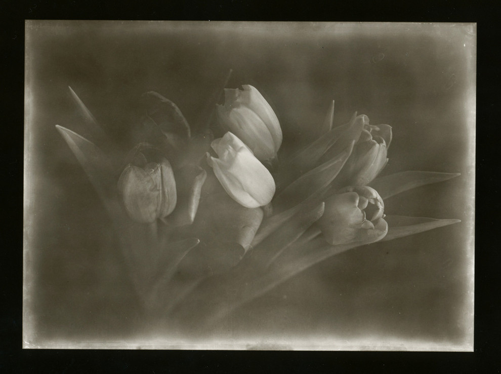 Авторские работы