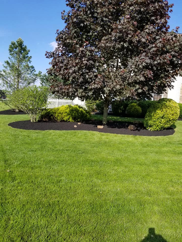 Landscaping projects