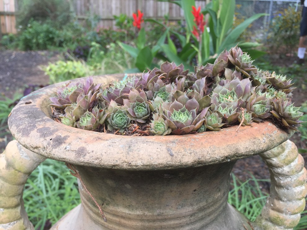 Spilling Urn