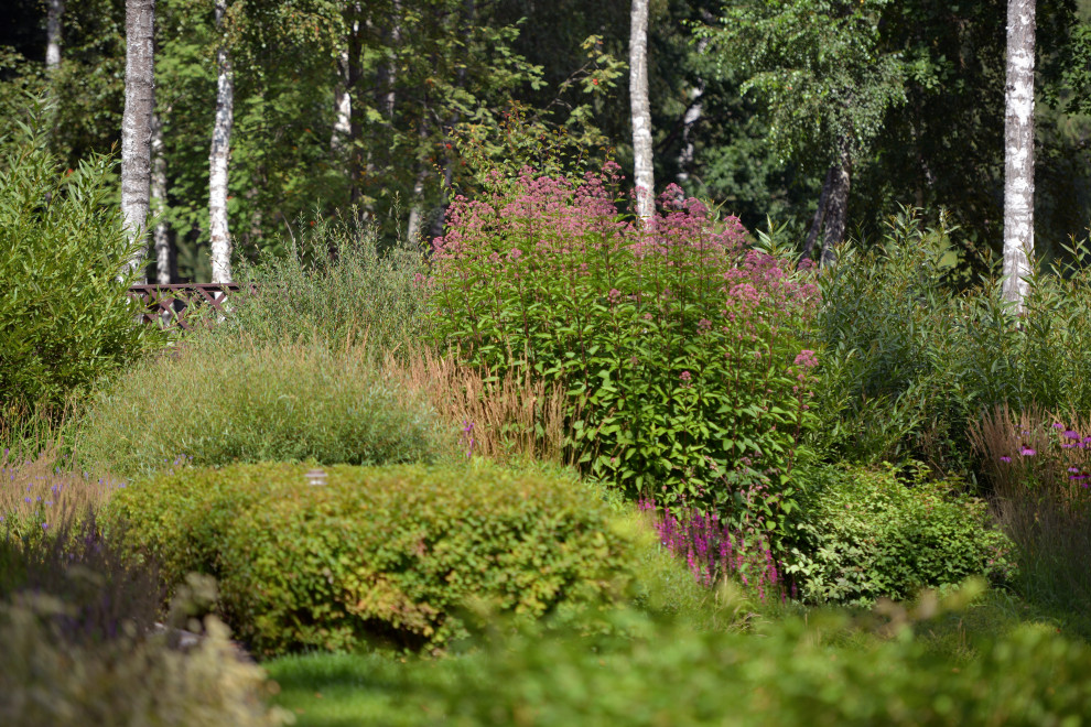 Проект "Волны".Пять лет спустя