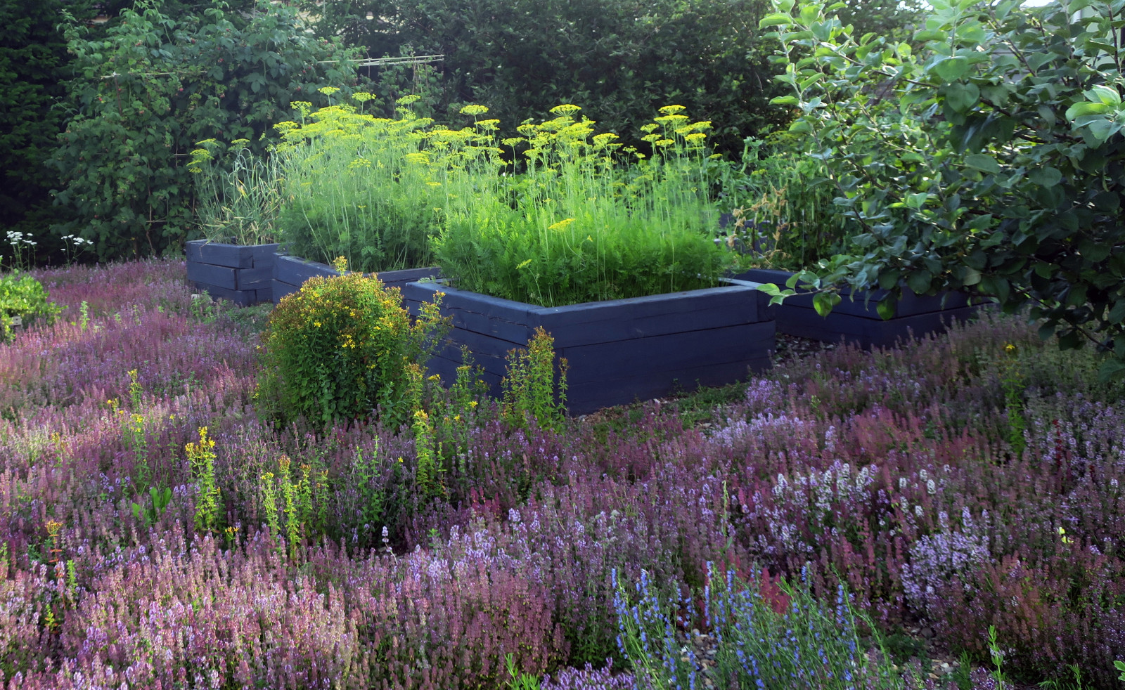 Полынный берег. Новые снимки