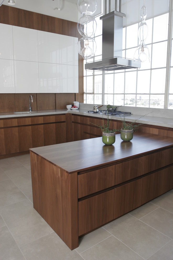 Inspiration for a modern kitchen in Boston with flat-panel cabinets, dark wood cabinets and concrete benchtops.