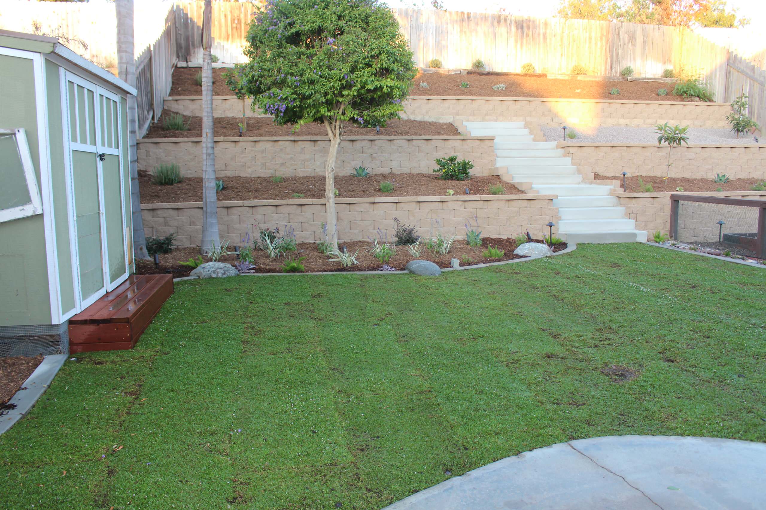 Black Mountain Ranch Terrace with Kurapia Sod