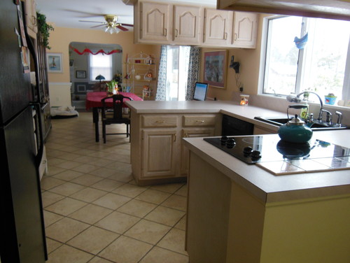 Need ideas for re designing a long rectangular shaped kitchen 