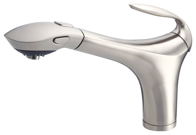Danze Corsair™ Single Handle Pull-Out Kitchen Faucet