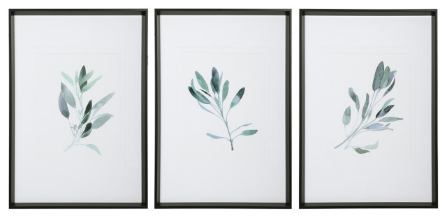 Uttermost Simple Sage Watercolor Prints, 3-Piece Set
