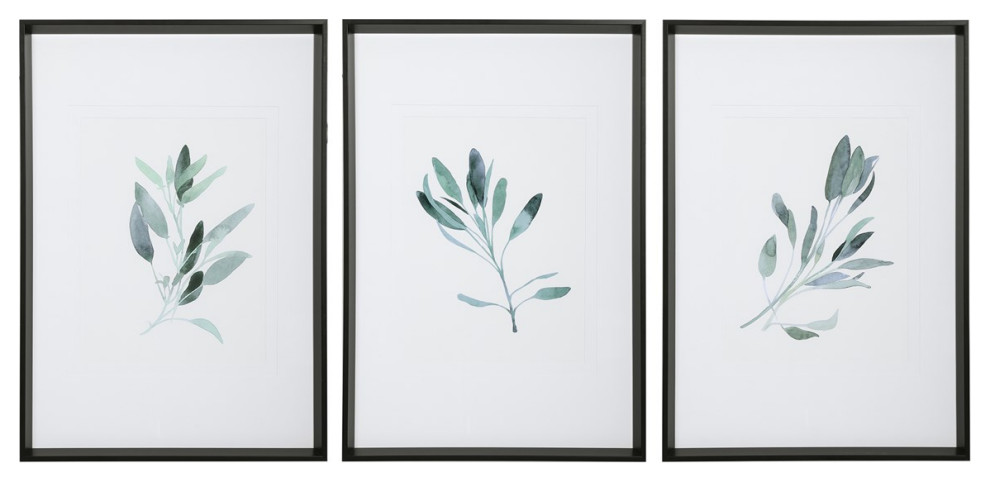 Uttermost Simple Sage Watercolor Prints, 3-Piece Set