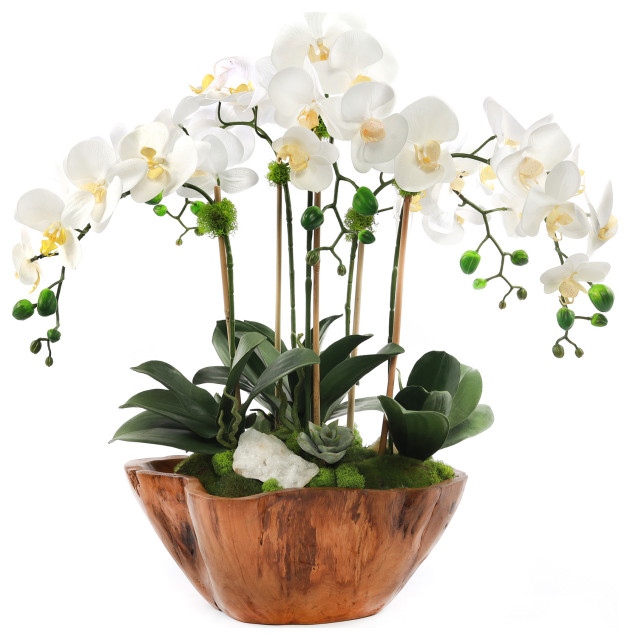 White Real Touch Phalaenopsis Orchids In Rustic Teak Bowl Modern Artificial Flower 0068