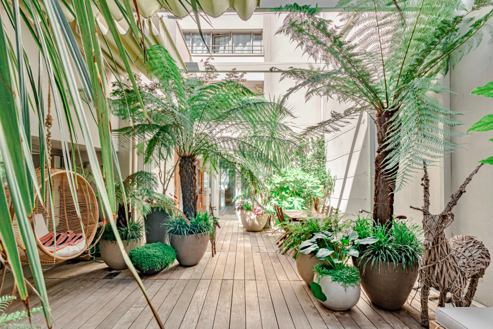 Diseño de patio tropical con jardín de macetas, entablado y pérgola