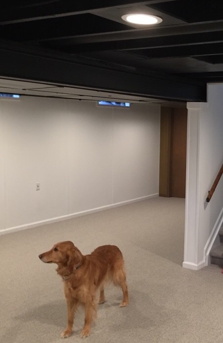 Small fully buried basement in Detroit with beige walls, carpet and beige floor.