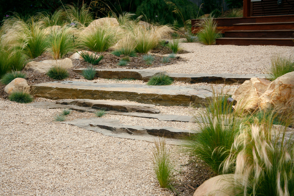 This is an example of a large modern backyard xeriscape in Santa Barbara with gravel.