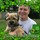 brian_mcgowan16