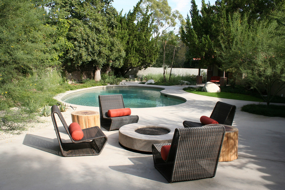 Design ideas for a contemporary kidney-shaped pool in Los Angeles with concrete slab.