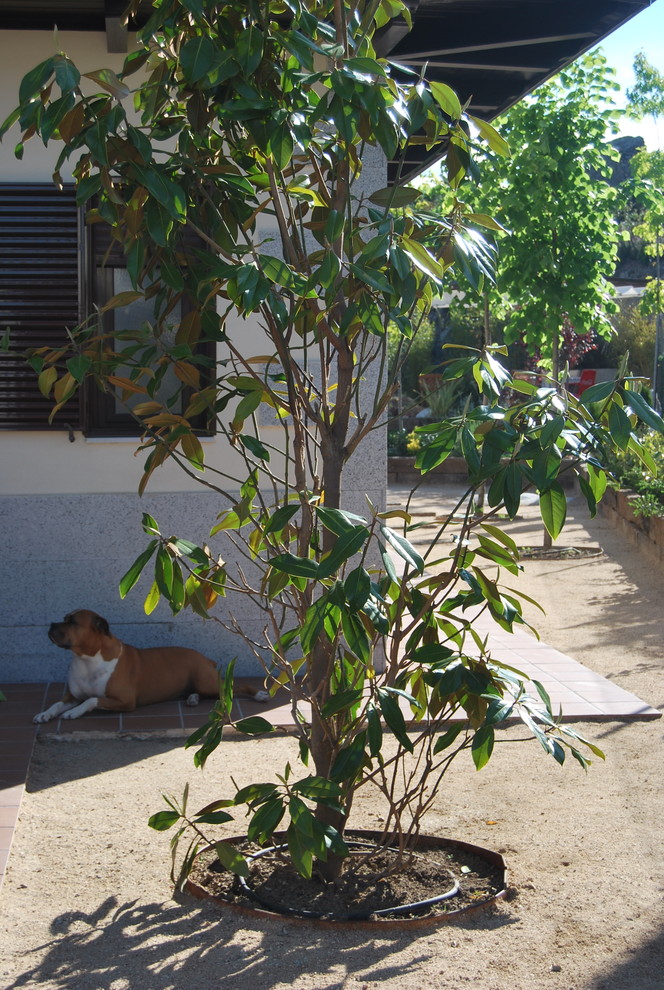Jardines con mascotas