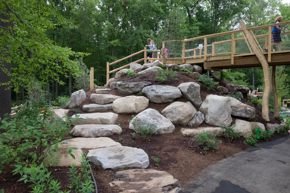 Discovery Woods