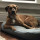 aaron_mansfield10