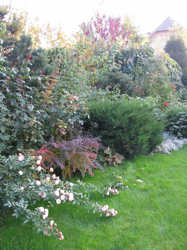 Ландшафт в пейзажном стиле с плавательным прудом 12 соток