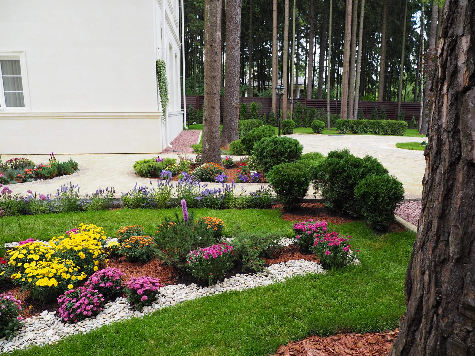 Проект Грибово