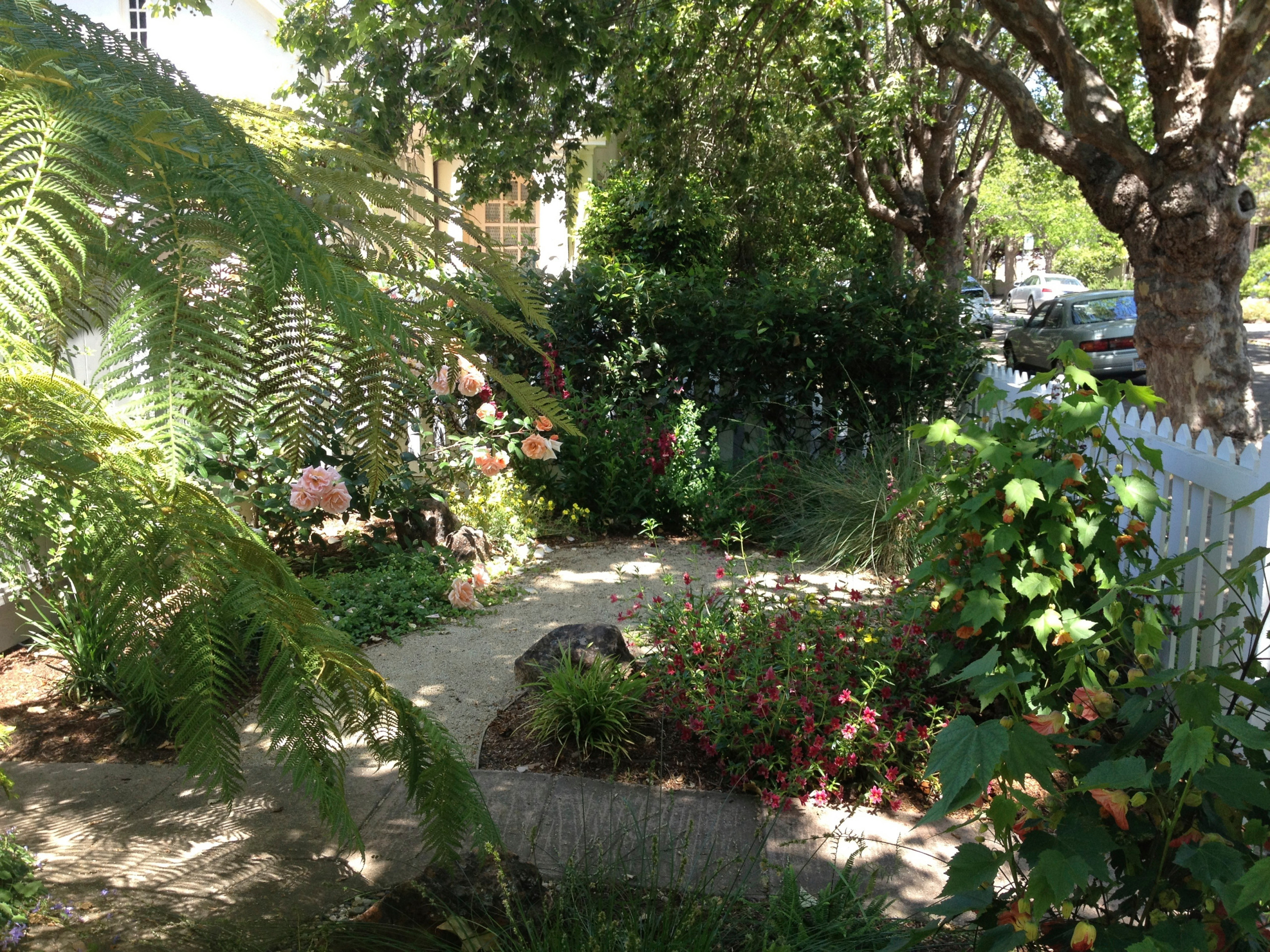 Rockridge shade garden