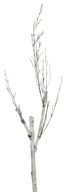 46.5" White and Brown Birch Branch Decoration