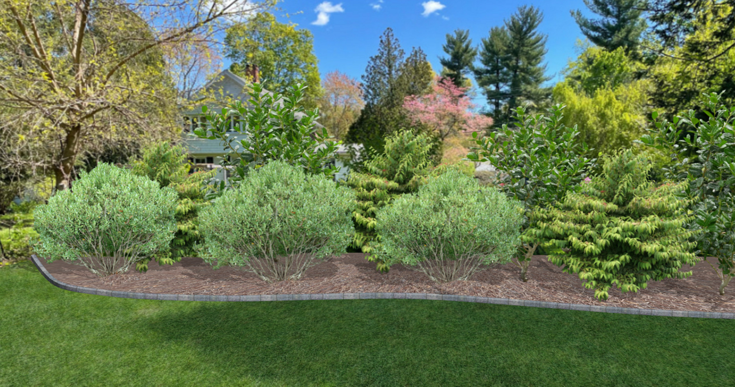 Foundation Plantings