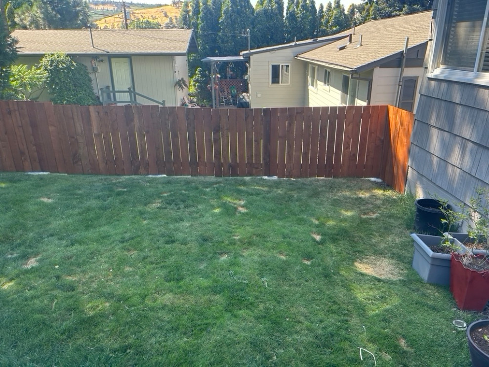 Back Fence