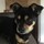 michelle_bennett5343522