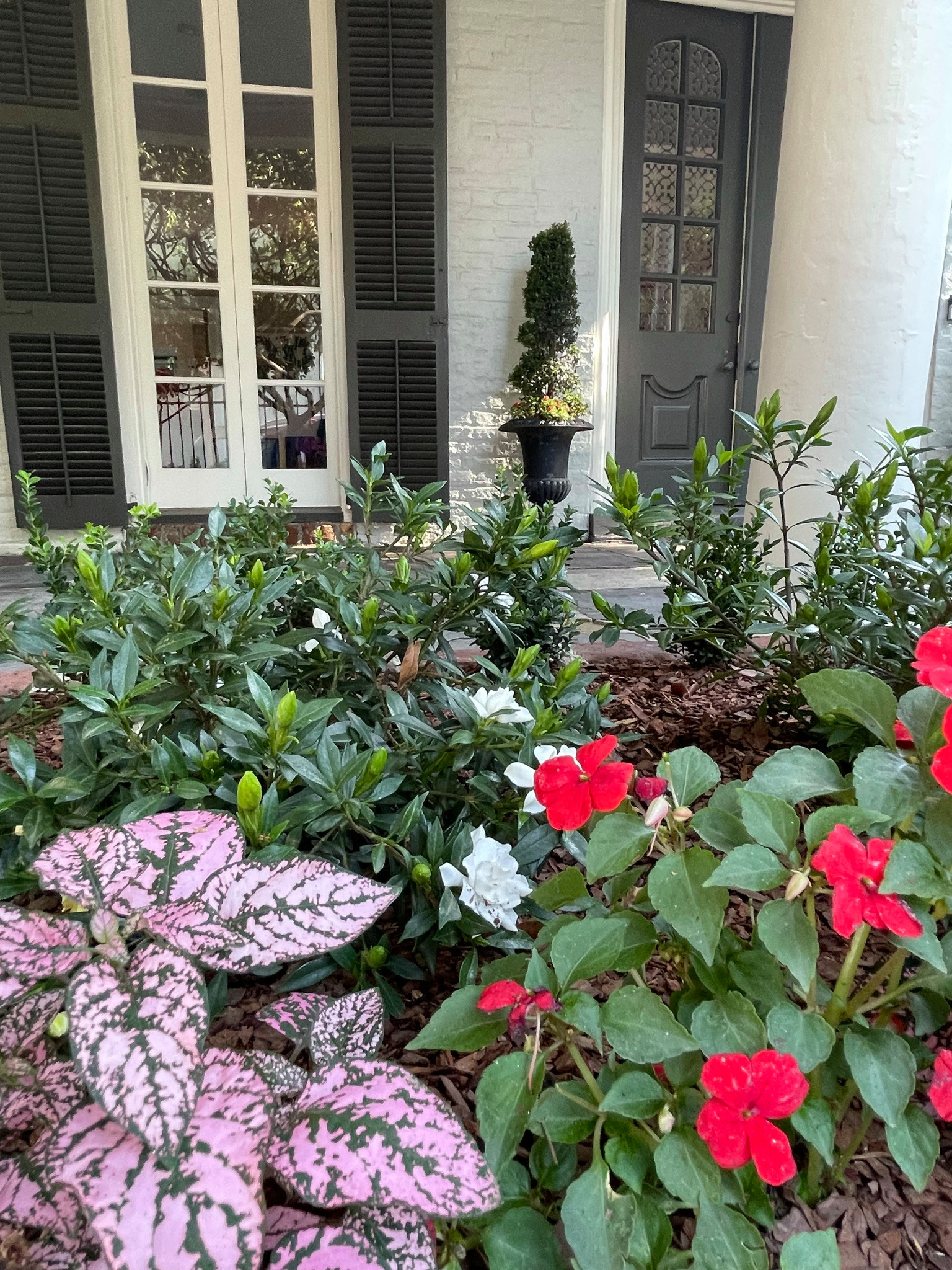 Elegant Southern Garden